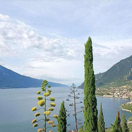 Centro Vacanze La Limonaia Limone sul Garda Exterior photo